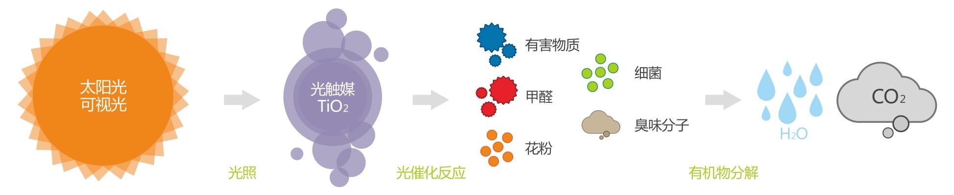 欧美黄色性爱视频网站 光触媒除甲醛处理室内污染的原理