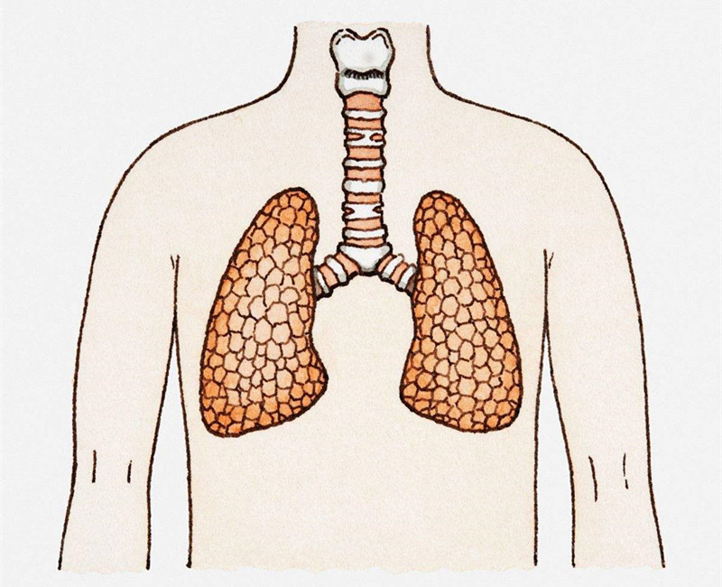 欧美激情视频在线观看 如何进行甲醛治理？没有治理过的空气就像虐待肺