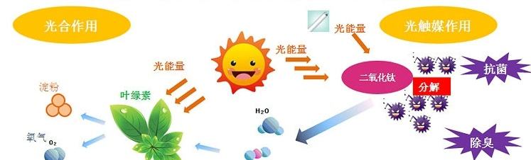 欧美激情视频在线观看 甲醛治理用什么办法最正确？这三点常见的除甲醛办法其实是误区