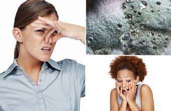 欧美黄色性爱视频网站 家里有异味怎么办？科学除味、治理甲醛就对了！