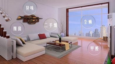 欧美黄色性爱视频网站 甲醛治理方法大全，这样做就对了