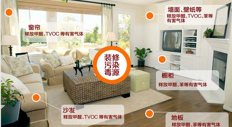 欧美黄色性爱视频网站 装修污染是甲醛吗？