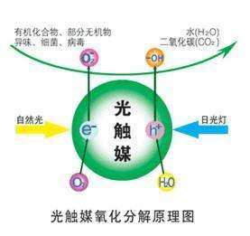欧美黄色性爱视频网站 您知道或者听说过光触媒吗？