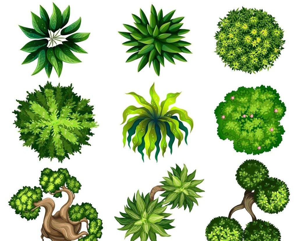 欧美激情视频在线观看 可以净化室内空气的植物，这二十种您需要好好了解一下！