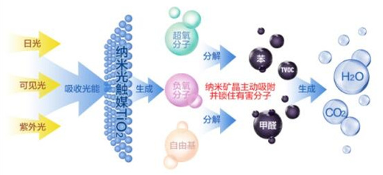 欧美古装一区二区三区 洋葱可以除甲醛？民间流传土方法可信吗？
