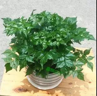 欧美激情视频在线观看 家中旺位和衰位在哪里？三分钟学习室内风水学