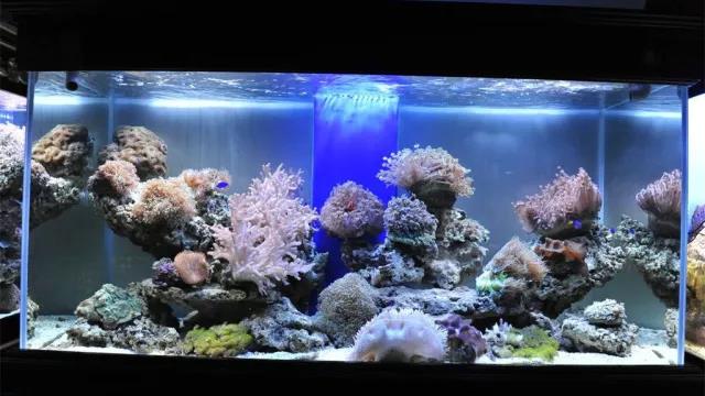 欧美激情视频在线观看 家中旺位和衰位在哪里？三分钟学习室内风水学