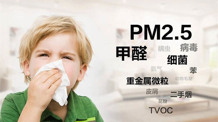 欧美古装一区二区三区 谁说二手车没有甲醛？汽车除甲醛最有效方法告诉您