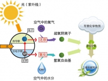 三步辨别甲醛治理好产品——光触媒
