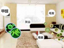 这样专业的除甲醛公司才是正规合理的