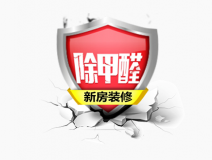 这种除甲醛公司才是专业可信的