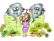 除甲醛公司带你感受无醛生活