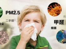 新房装修要知道什么是有效的除甲醛方法
