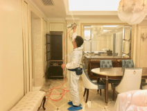 甲醛治理的优势体现在哪里？