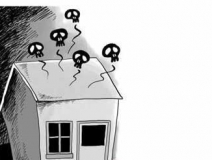 着急入住如何去甲醛 98%的人不知道这个方法