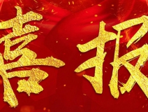 摇一摇除甲醛魔球被评定为省级工业新产品（新技术)