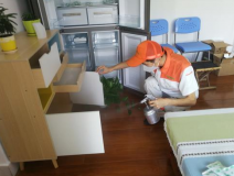 除甲醛公司是否靠谱？靠谱的公司有哪些特点？
