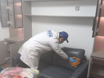 哪种方法除甲醛才是真正有效的呢？