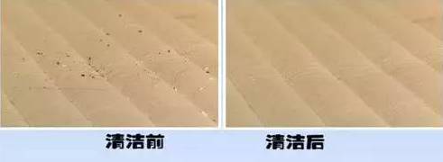 欧美激情视频在线观看 南京美女睡了10年的床垫，掀开后把全家人都吓傻了……