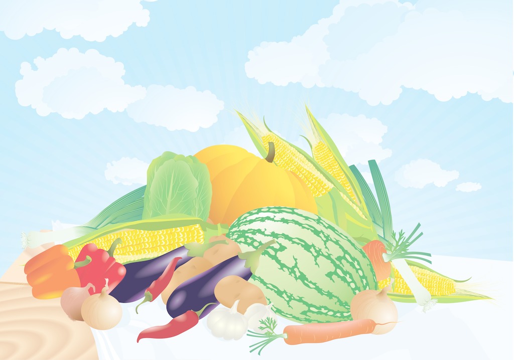 欧美激情视频在线观看 夏季找除甲醛公司有哪些需要注意的？