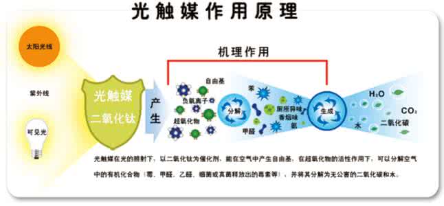 欧美激情视频在线观看 如何去除车内甲醛？
