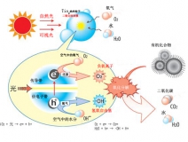 光触媒除甲醛—专业甲醛治理多少钱