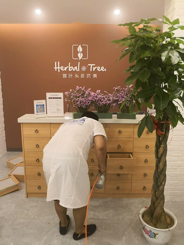欧美黄色性爱视频网站 菩叶头皮抗衰养发馆室内空气治理