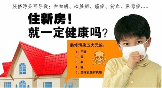 欧美激情视频在线观看 除甲醛专业公司加盟 开到哪里都能赚