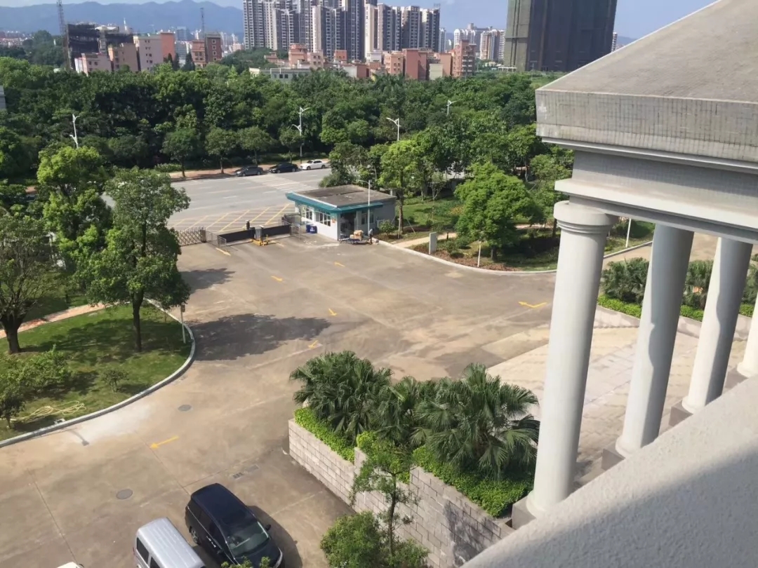 欧美激情视频在线观看 高明区人民法院除甲醛