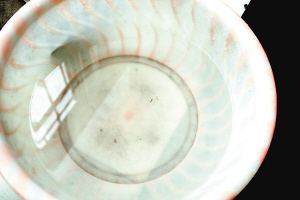 欧美古装一区二区三区 疫苗事件背后：您是否想过除甲醛产品也存在无效情况？