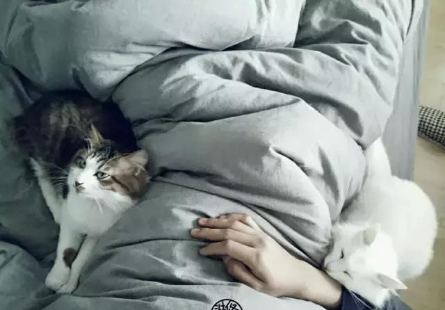 欧美激情视频在线观看 21天3000元重装出租屋 除甲醛莫忘记！