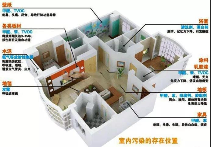 欧美激情视频在线观看 权威发布 |《2019中国室内空气污染状况白皮书》