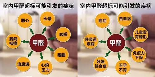 毕业季&租房季 清楚这几点就能避开甲醛超标公寓