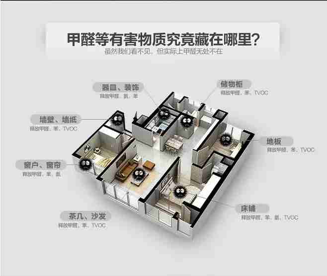 欧美黄色性爱视频网站 看看新房装修之后让人担心的除甲醛问题