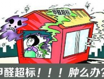 甲醛清除剂是什么_甲醛清除剂有用吗