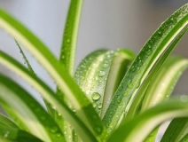 室内空气治理重要吗?
