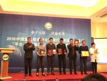 祝贺创绿家光触媒荣获2016净化药剂产品技术创新成果奖！
