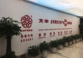 大丰实业股份有限公司