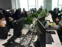 成都一公司边装修边办公，装修味道呛人 员工戴防毒面具办公