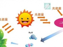 甲醛治理用什么办法最正确？这三点常见的除甲醛办法其实是误区