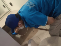 地毯也会引起甲醛超标吗？